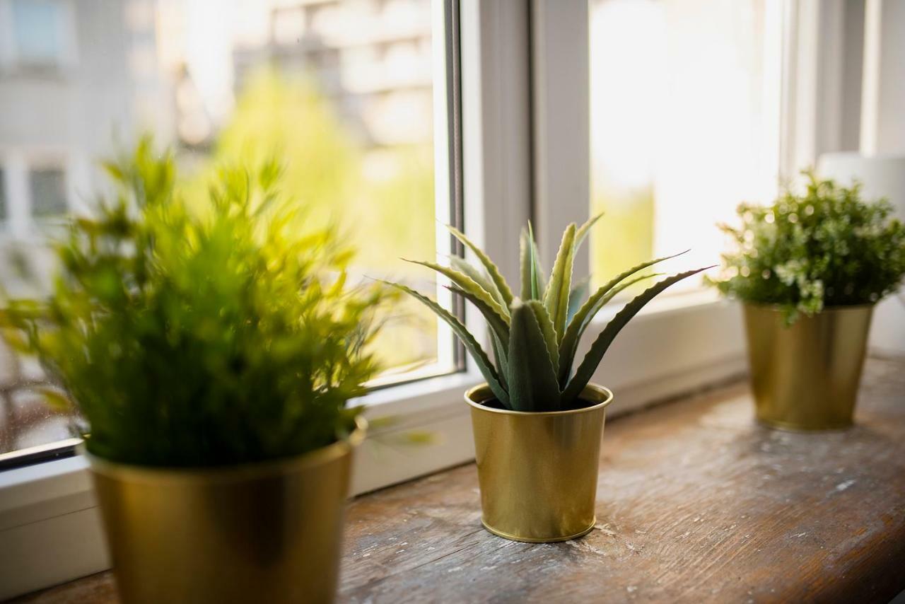 Galeria Apartman Lublin Kültér fotó